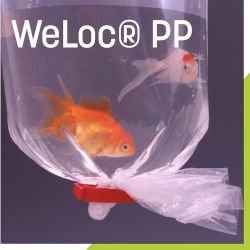 Pince Weloc PP